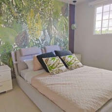 IMG 20240208 121640 edit